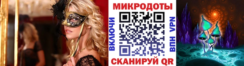 Галлюциногенные грибы Psilocybine cubensis Юрьев-Польский